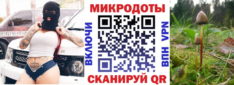 KRAKEN онион  сайты даркнета Telegram  Галлюциногенные грибы Psilocybe  наркотики  Михайловск 